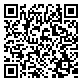 叶片加工及其所用高效刀具/PALBIT立铣刀