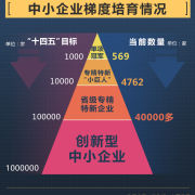 什么是“专精特新小巨人“?